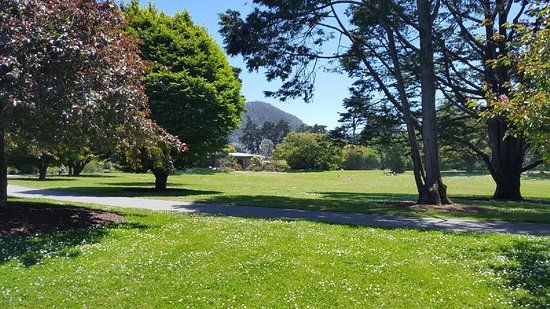 San Francisco Botanical Garden